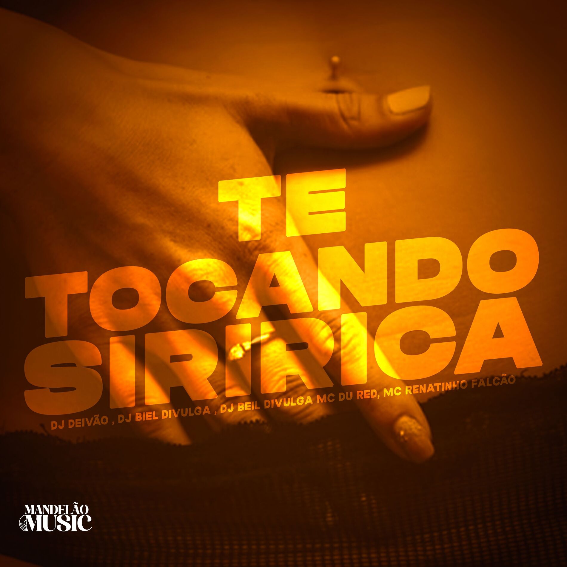 Album cover of Te Tocando Siririca