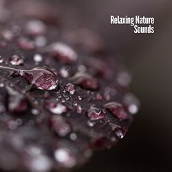 Cover of Relaxing Nature Sounds