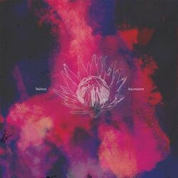 Cover of Ascendent