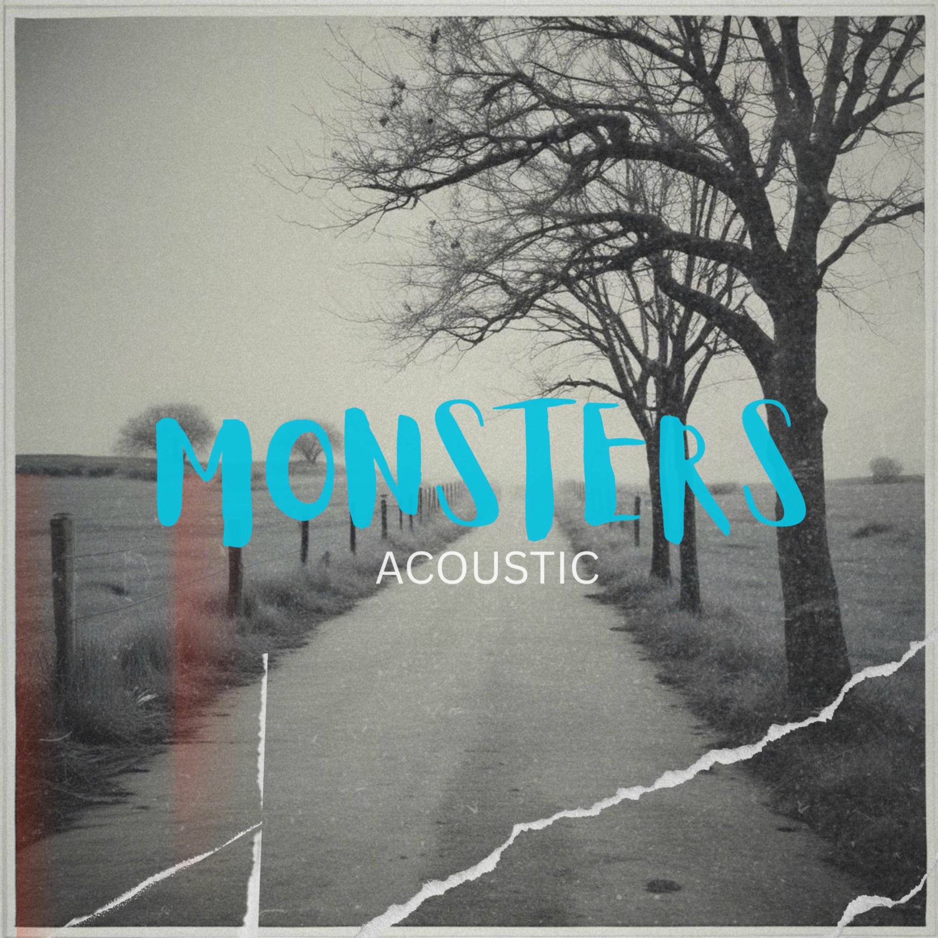 Album cover of Monsters (Acoustic)
