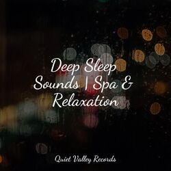 Cover of Deep Sleep Sounds | Spa & Relaxation