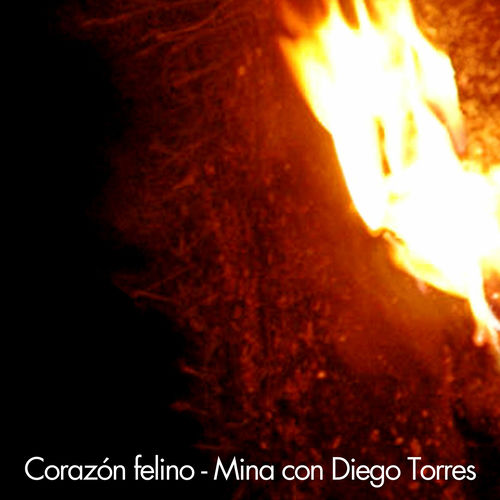 Corazon felino