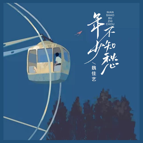 年少不知愁
