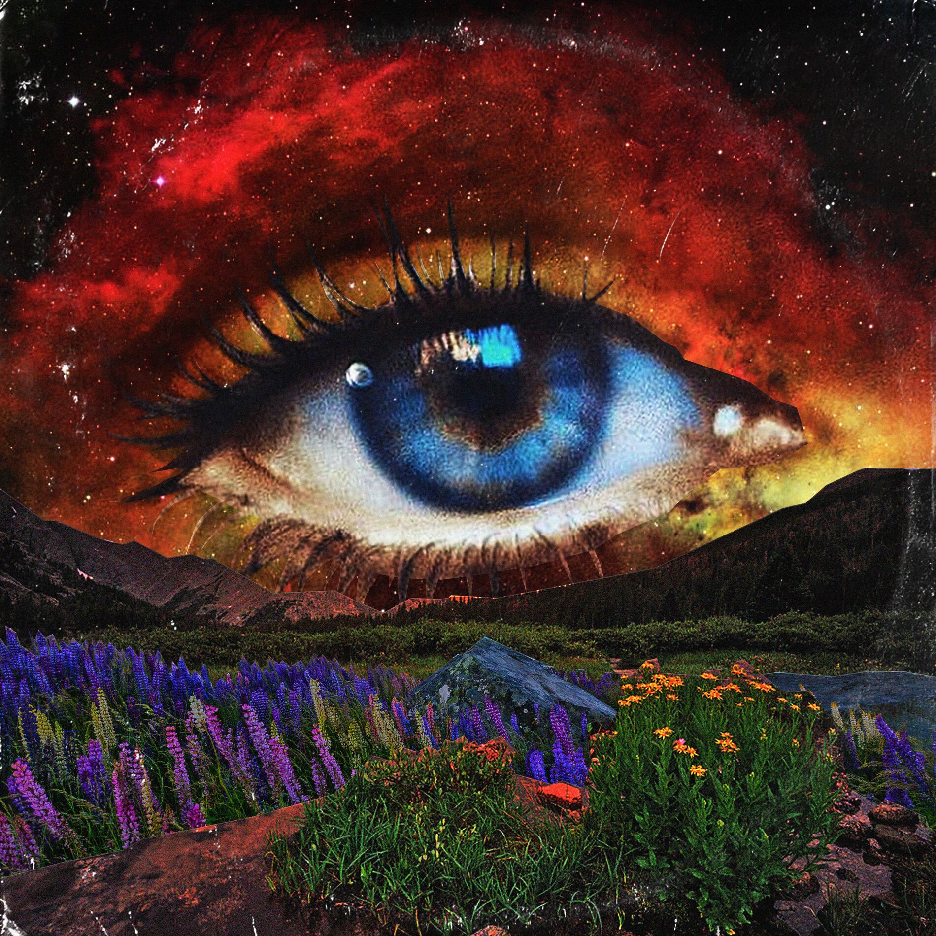 Album cover of Stephanie