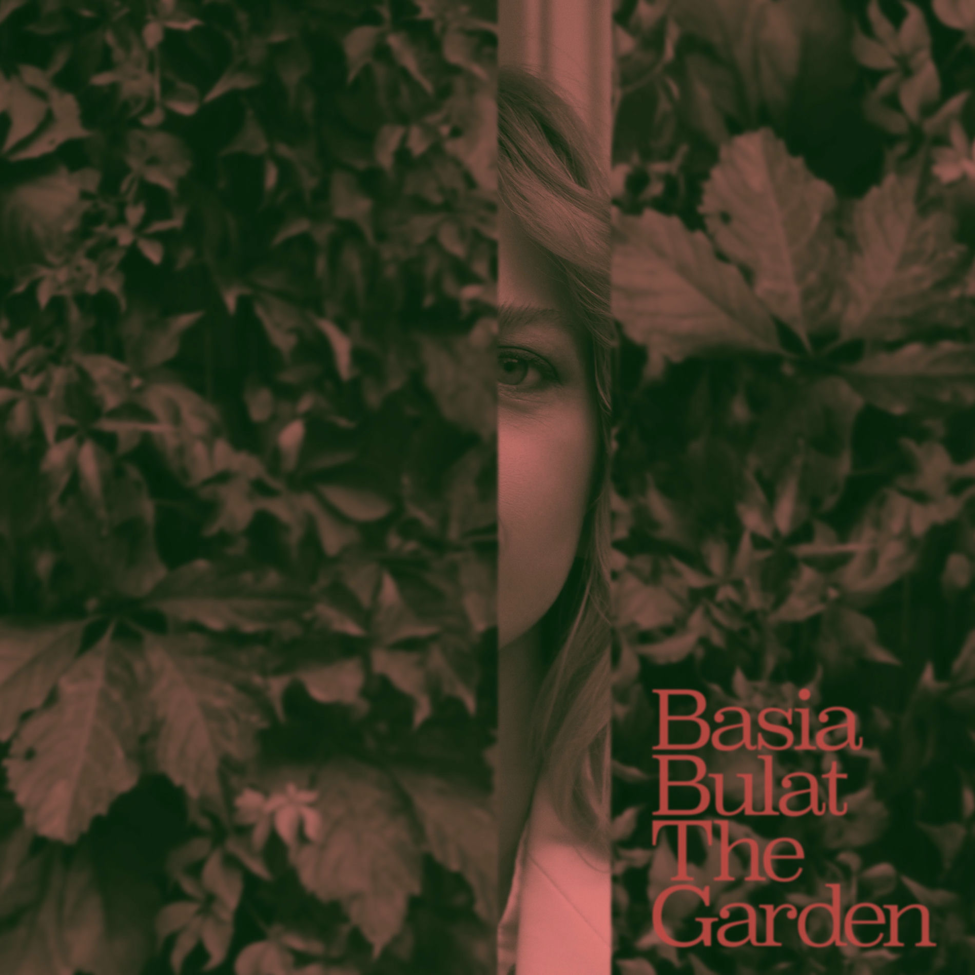 Album cover of Already Forgiven