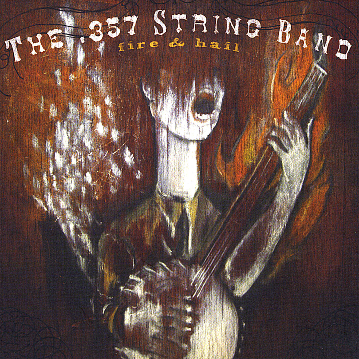 Album cover of Fire & Hail