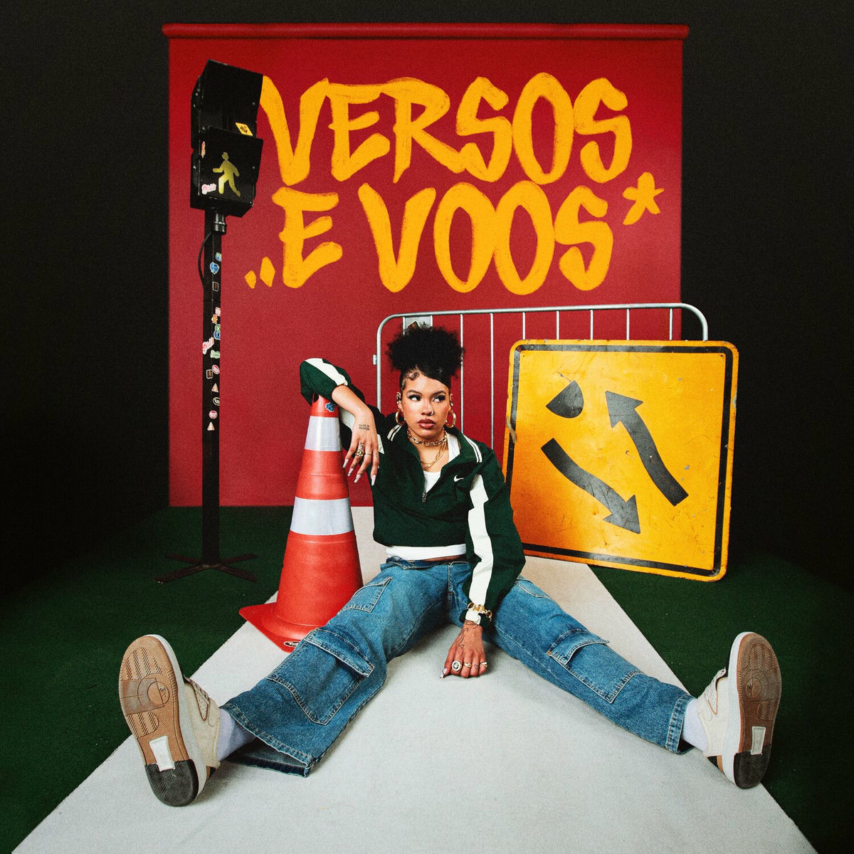 Album cover of Versos e Voos
