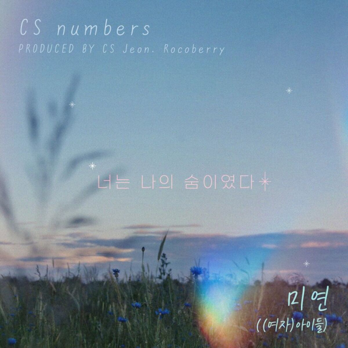 Album cover of 너는 나의 숨이였다