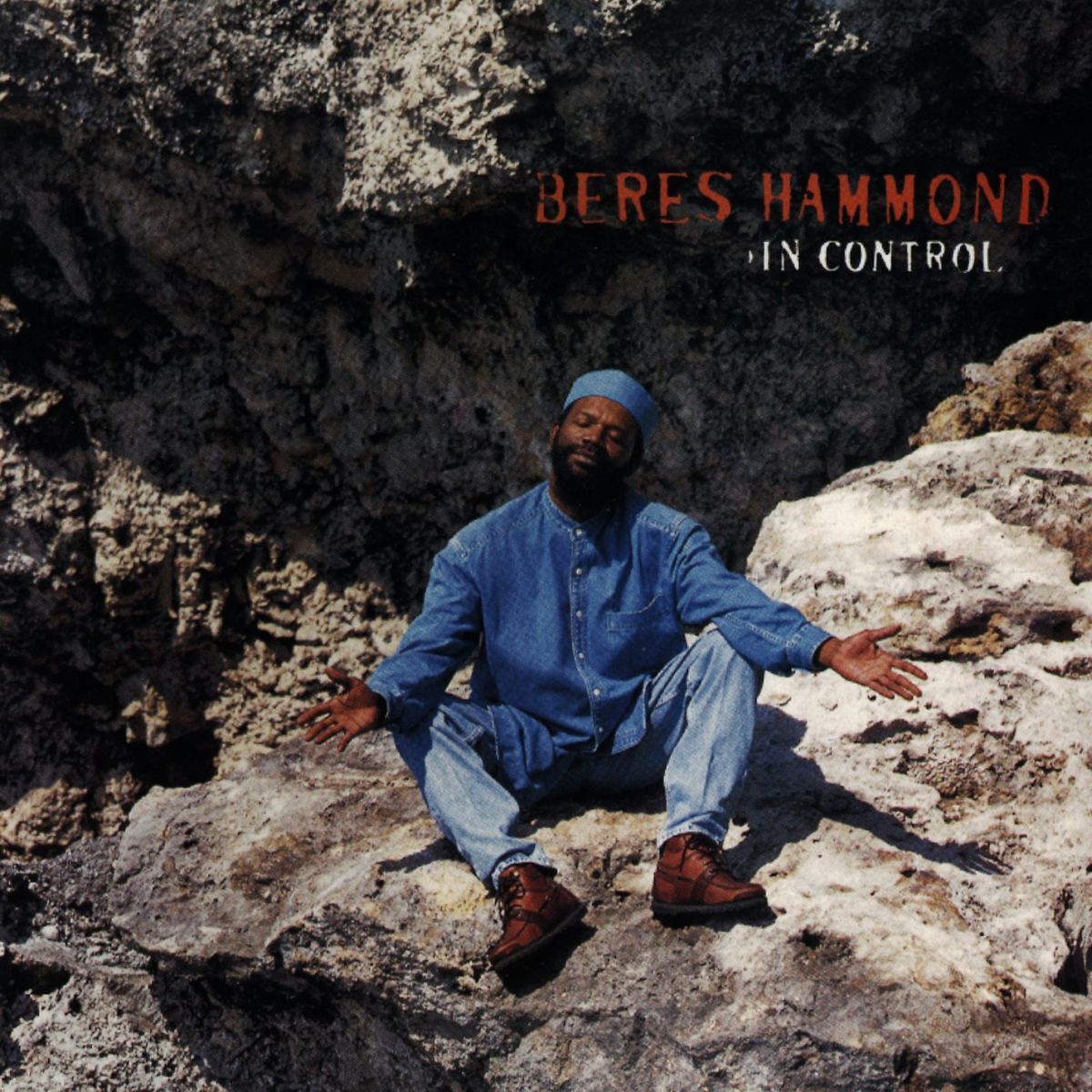 Album cover of Reggae Calling
