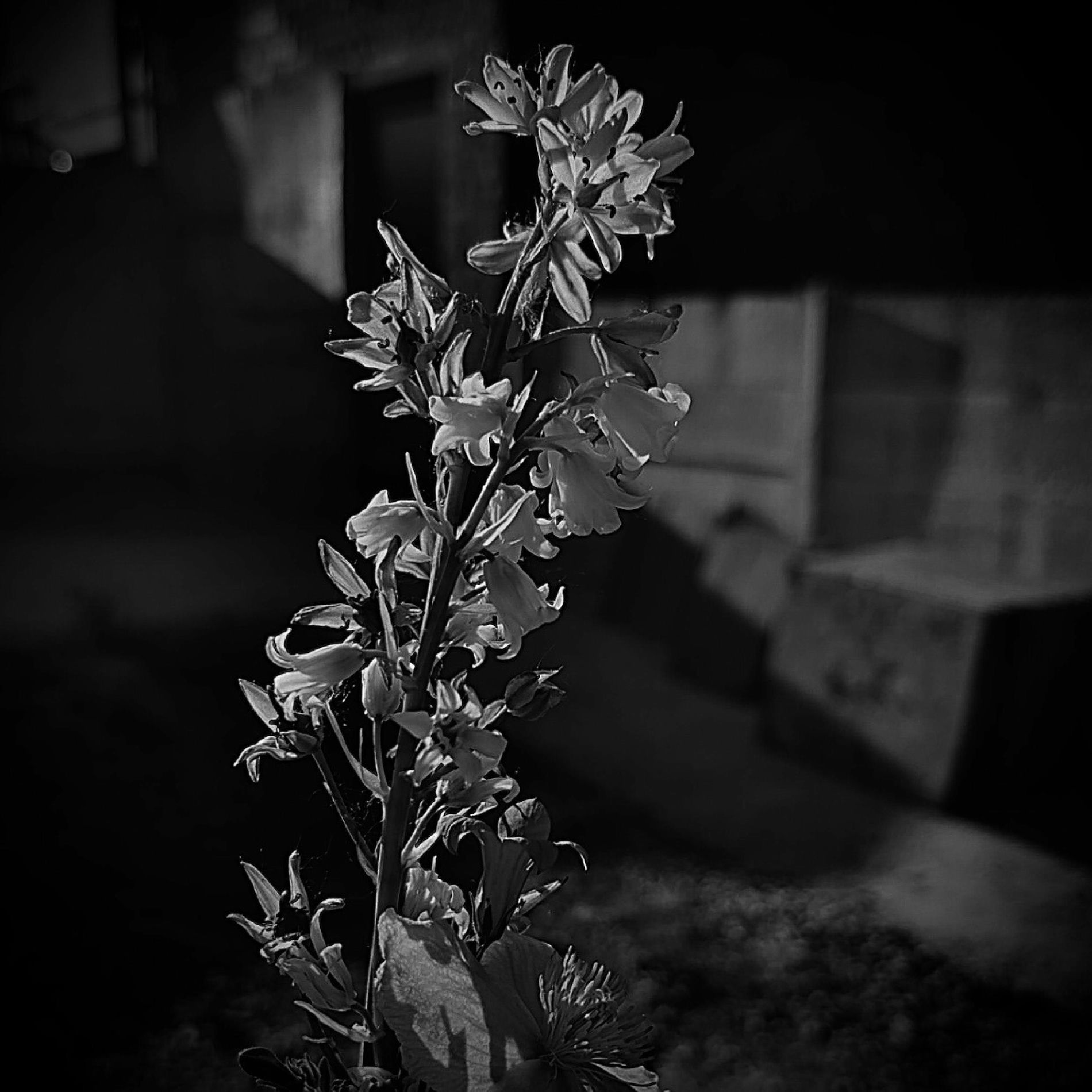 Album cover of lost it all