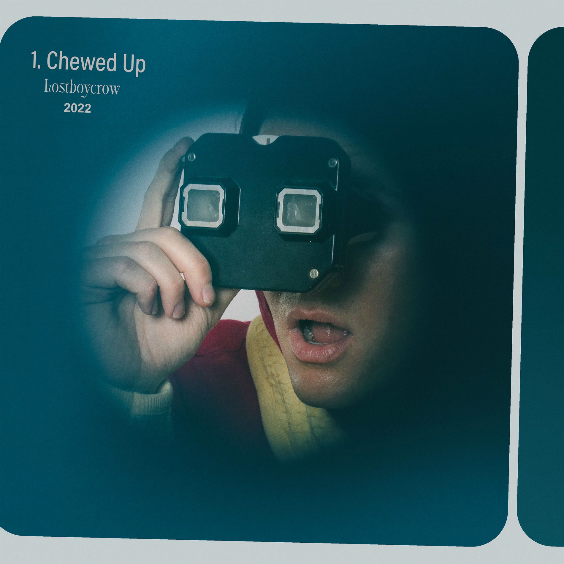 Album cover of Chewed Up