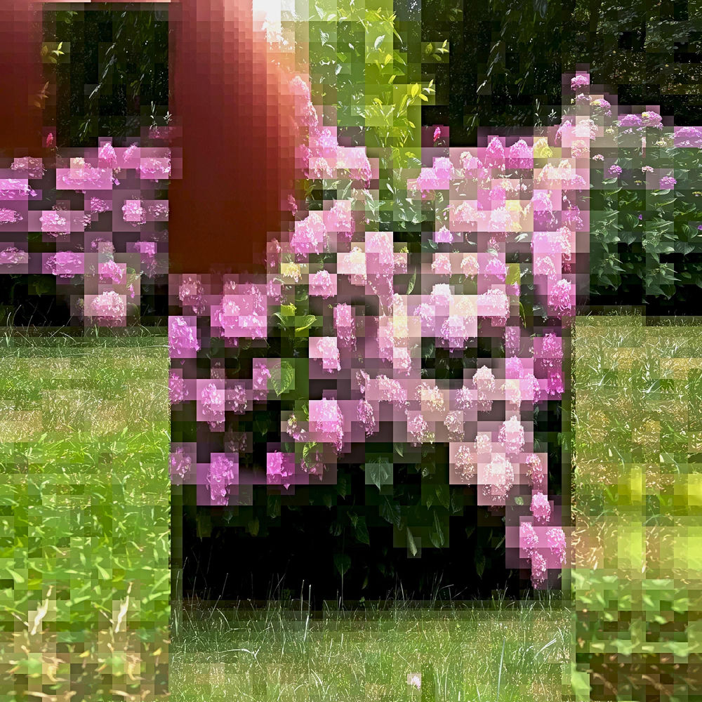 Album artwork for Freedoom by KNEE