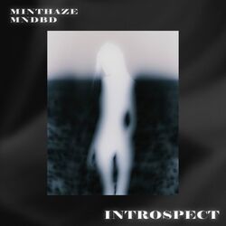 Cover of Introspect