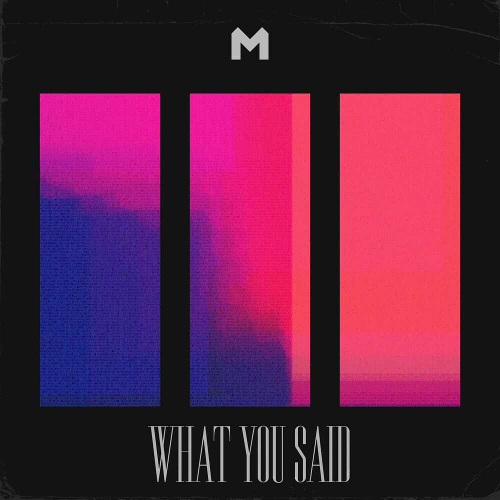 Picture of What You Said