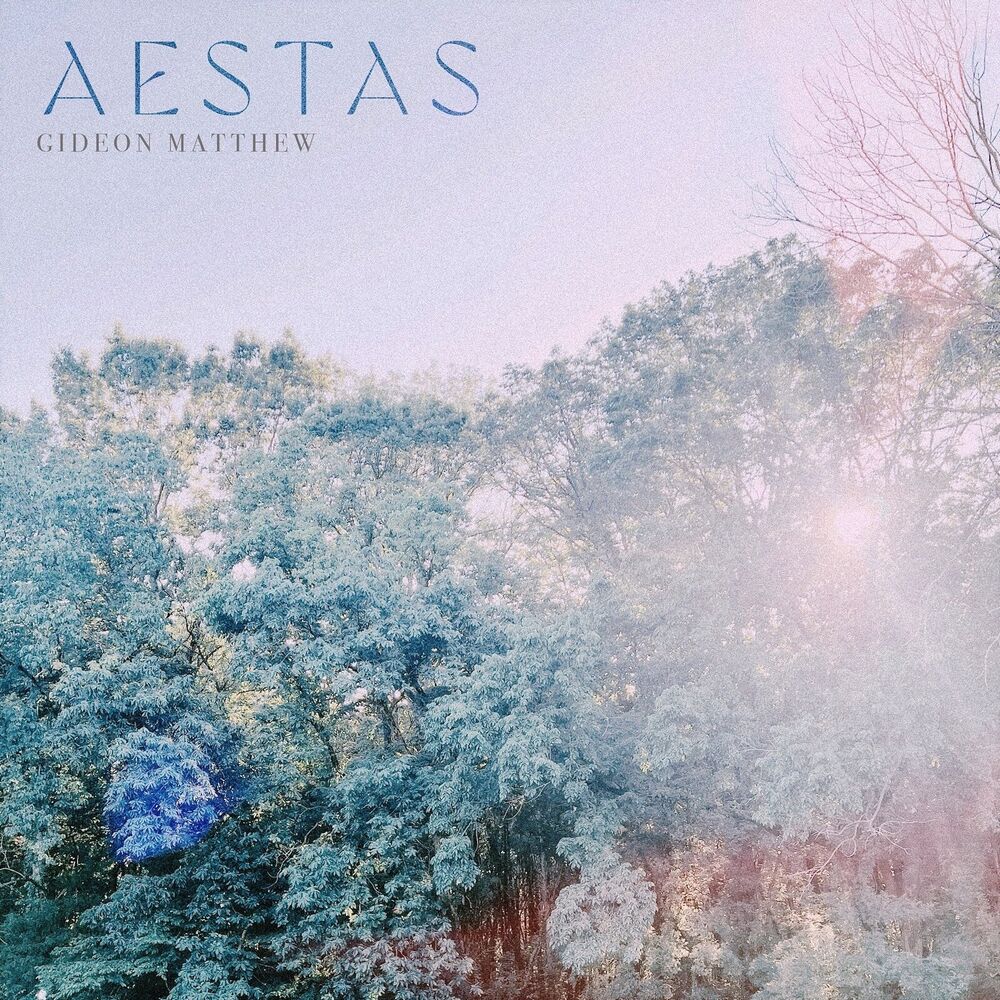Picture of Aestas
