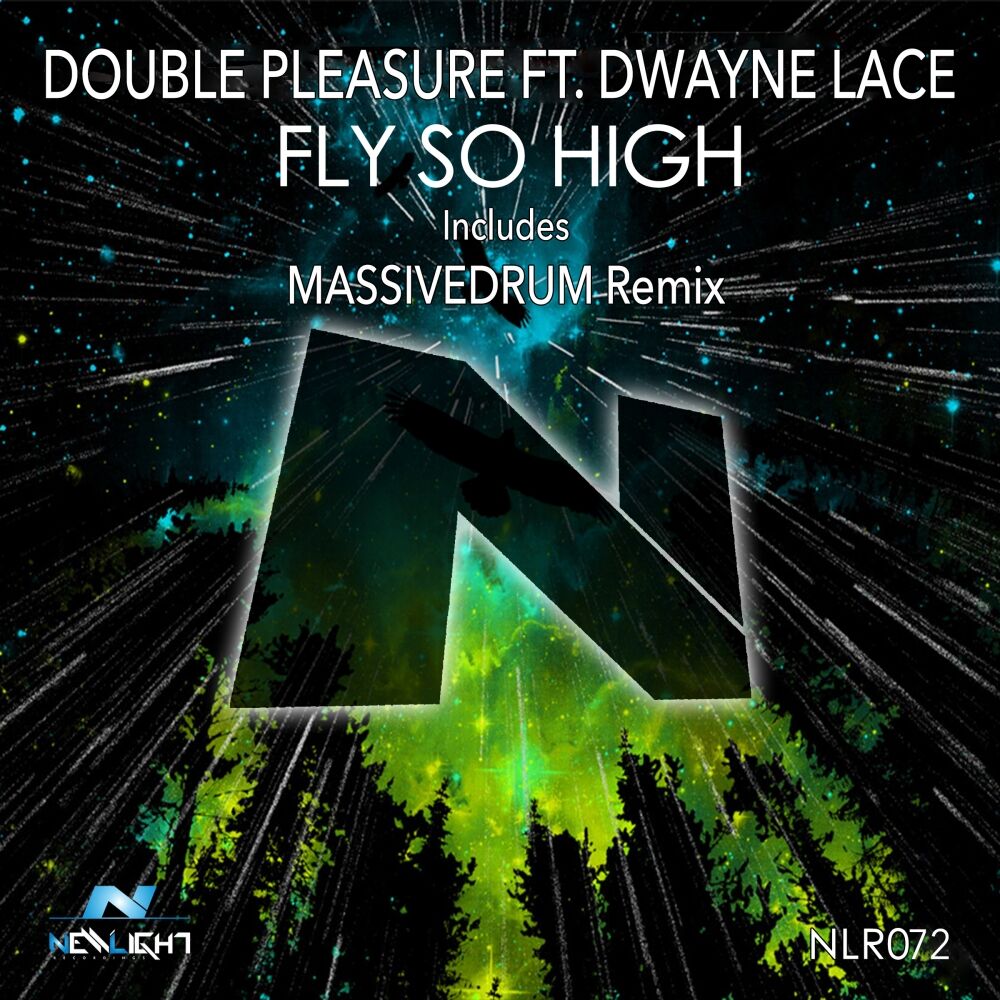 Picture of Fly So High