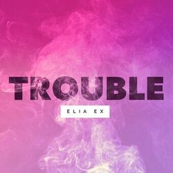 Cover of Trouble