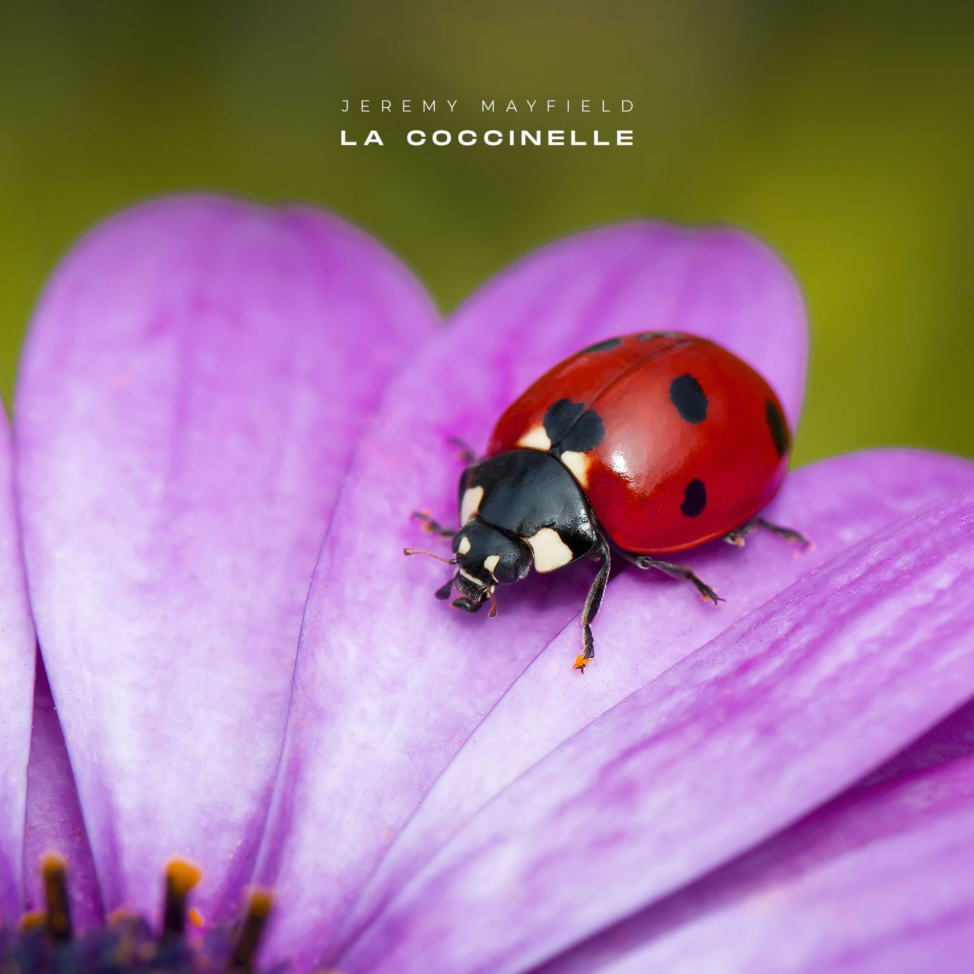 Album cover of la coccinelle