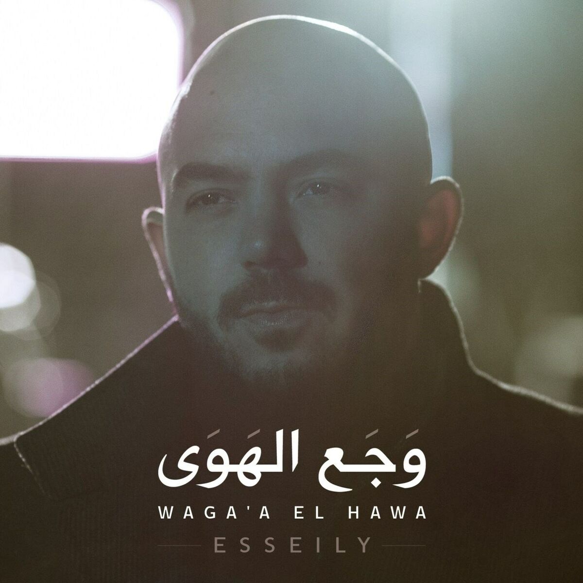 Album cover of وجع الهوى