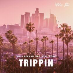 Cover of Trippin'