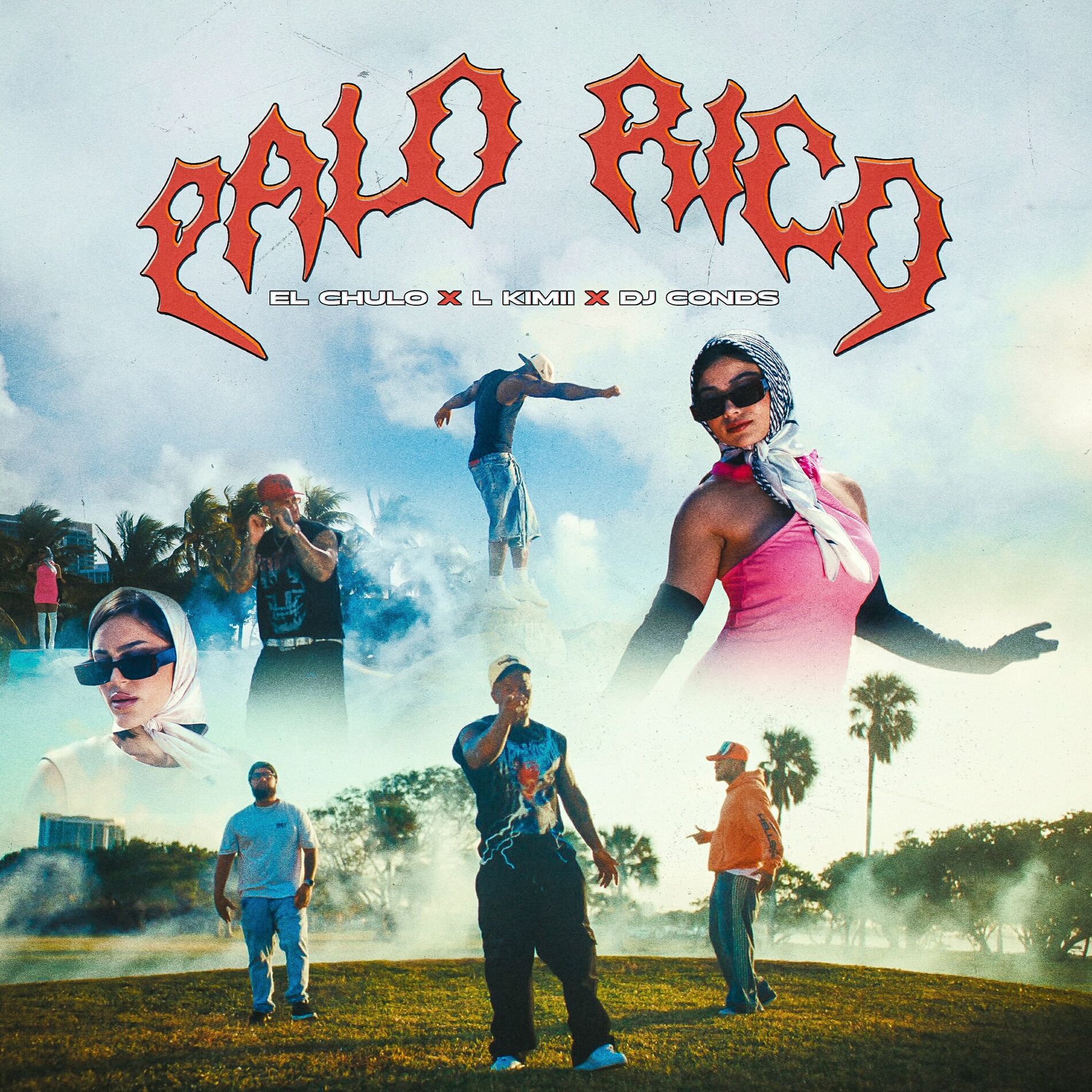 Album cover of Palo Rico