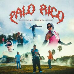 Cover of Palo Rico