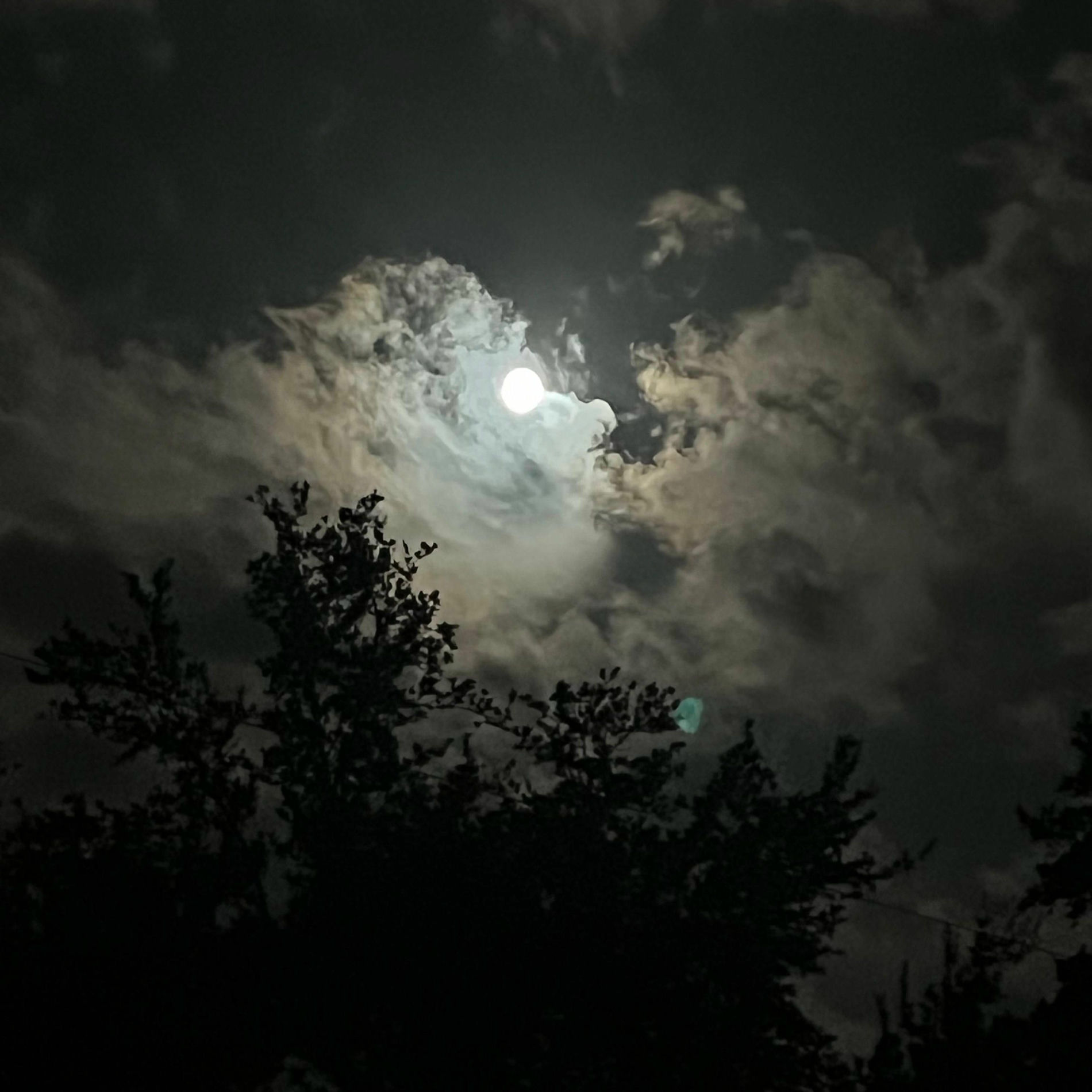 Album cover of moonlit nights