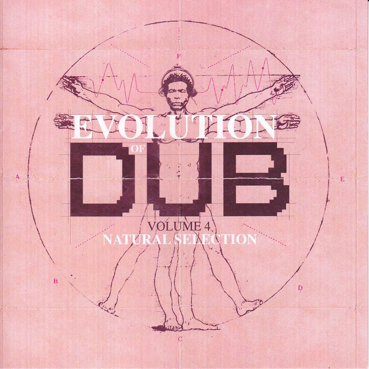 Album cover of Evolution Of Dub Vol 4