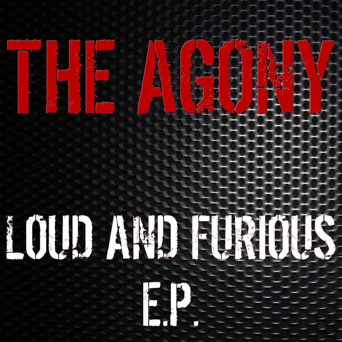 Album cover of Loud and Furious