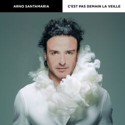 Cover of C'est pas demain la veille