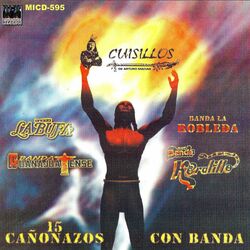 Cover of 15 Canonazos