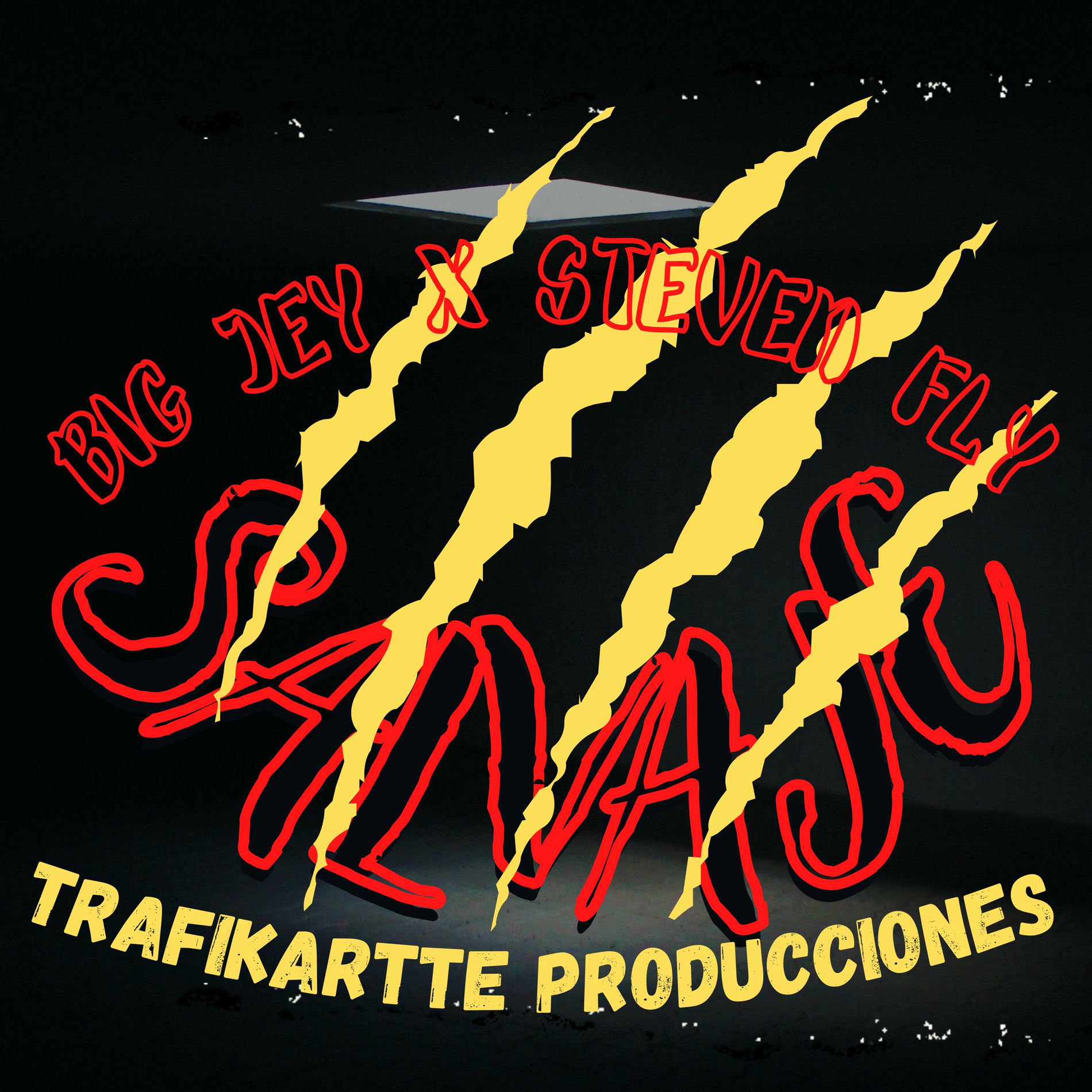Album cover of Salvaje