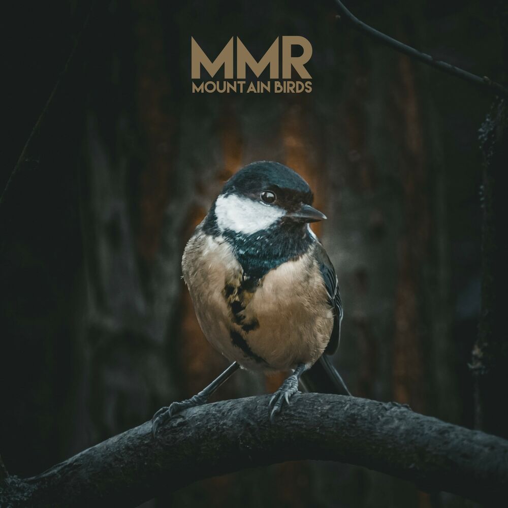Picture of Mountain Birds