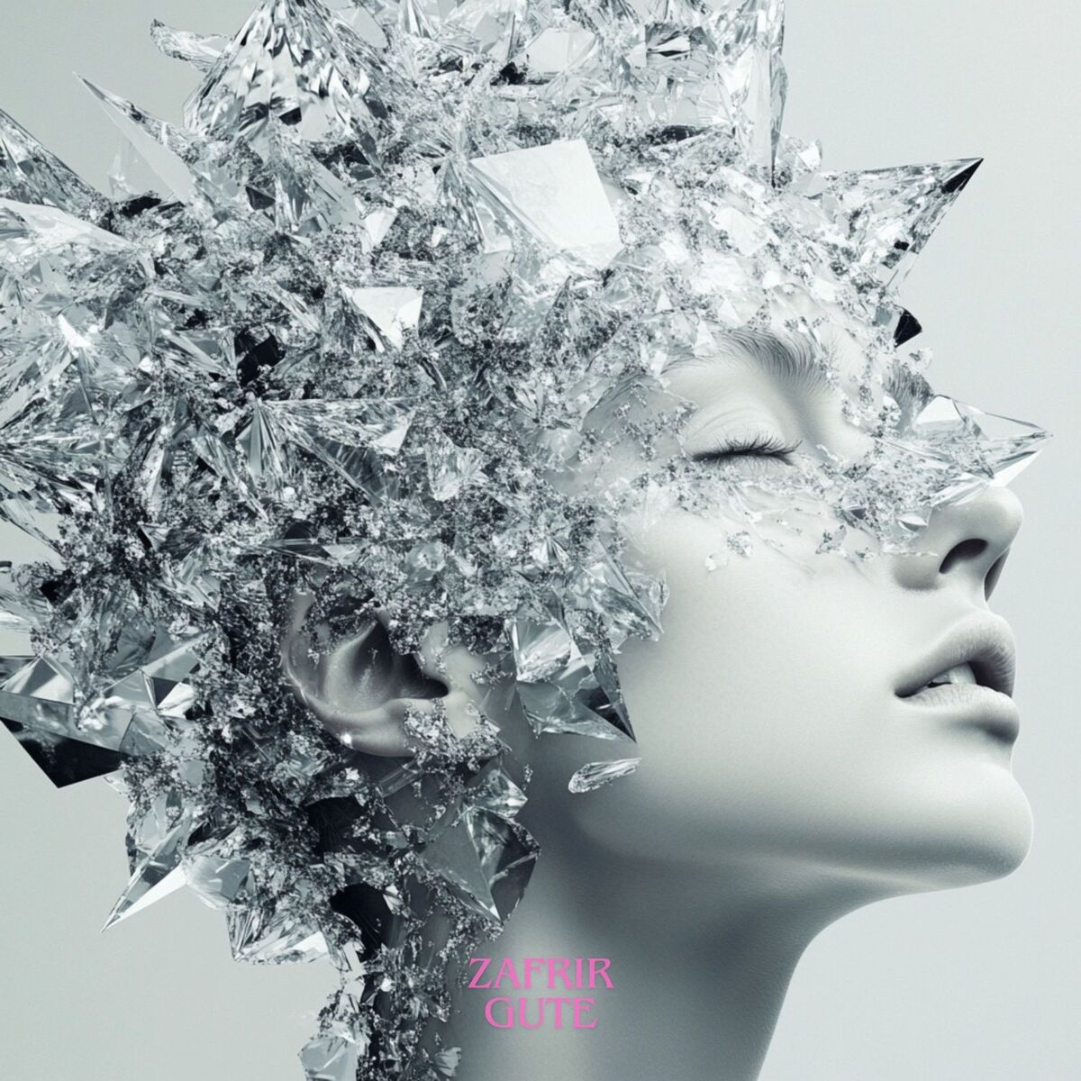 Album cover of Gute