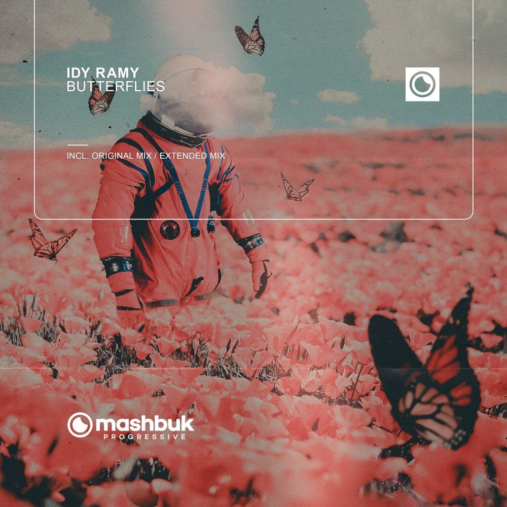 Picture of Butterflies