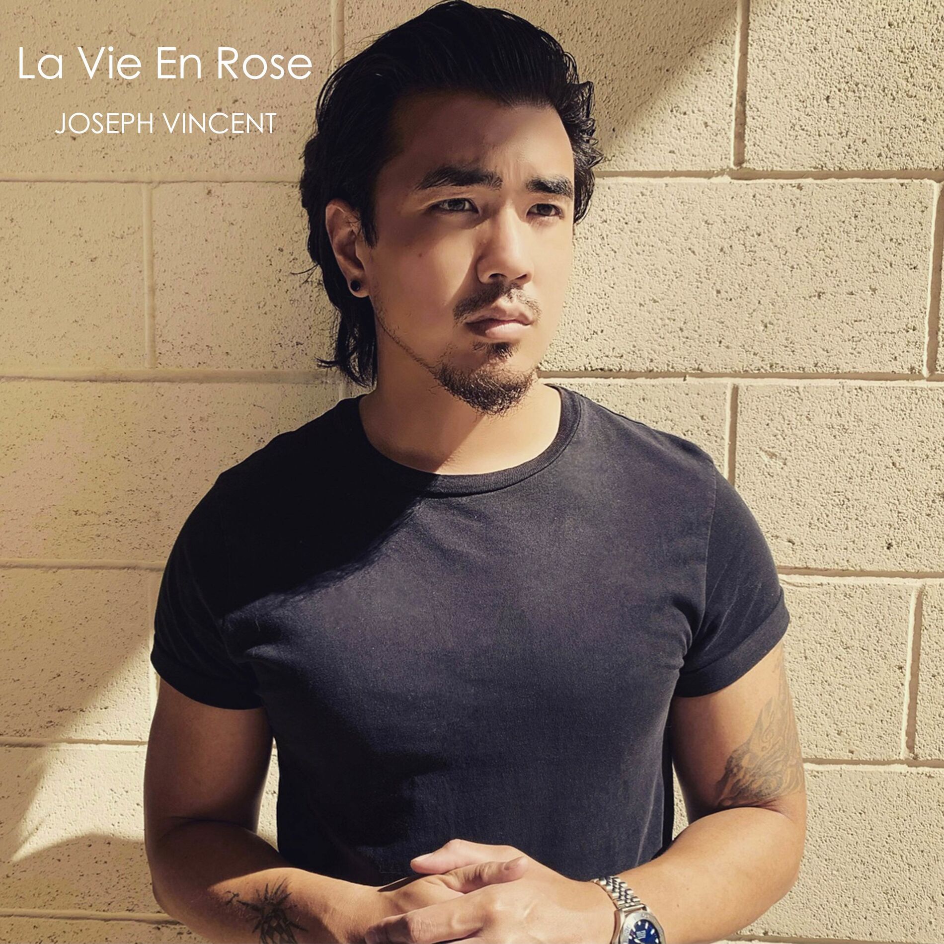 Album cover of La Vie En Rose