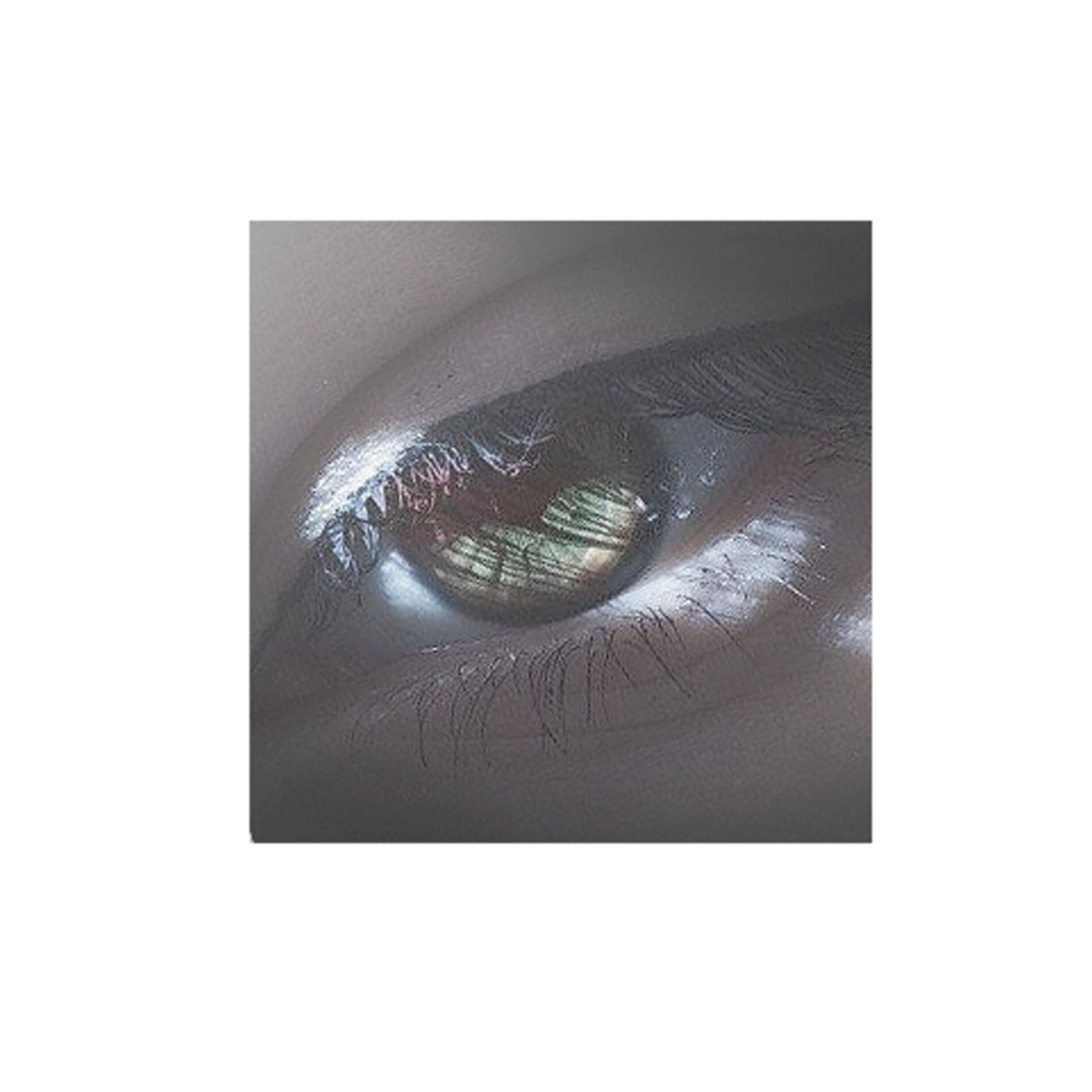 Album cover of nichts wert