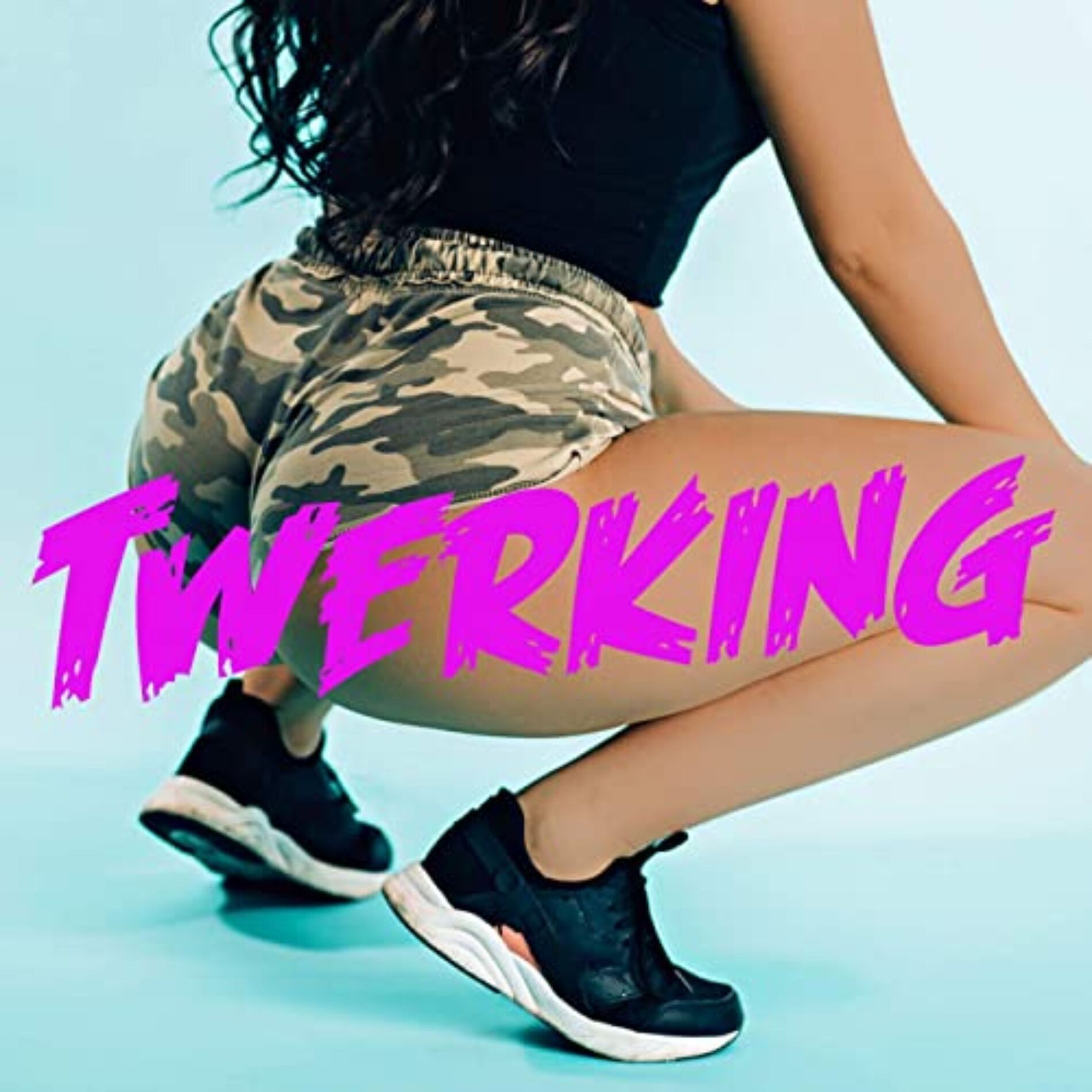 Album cover of Twerking