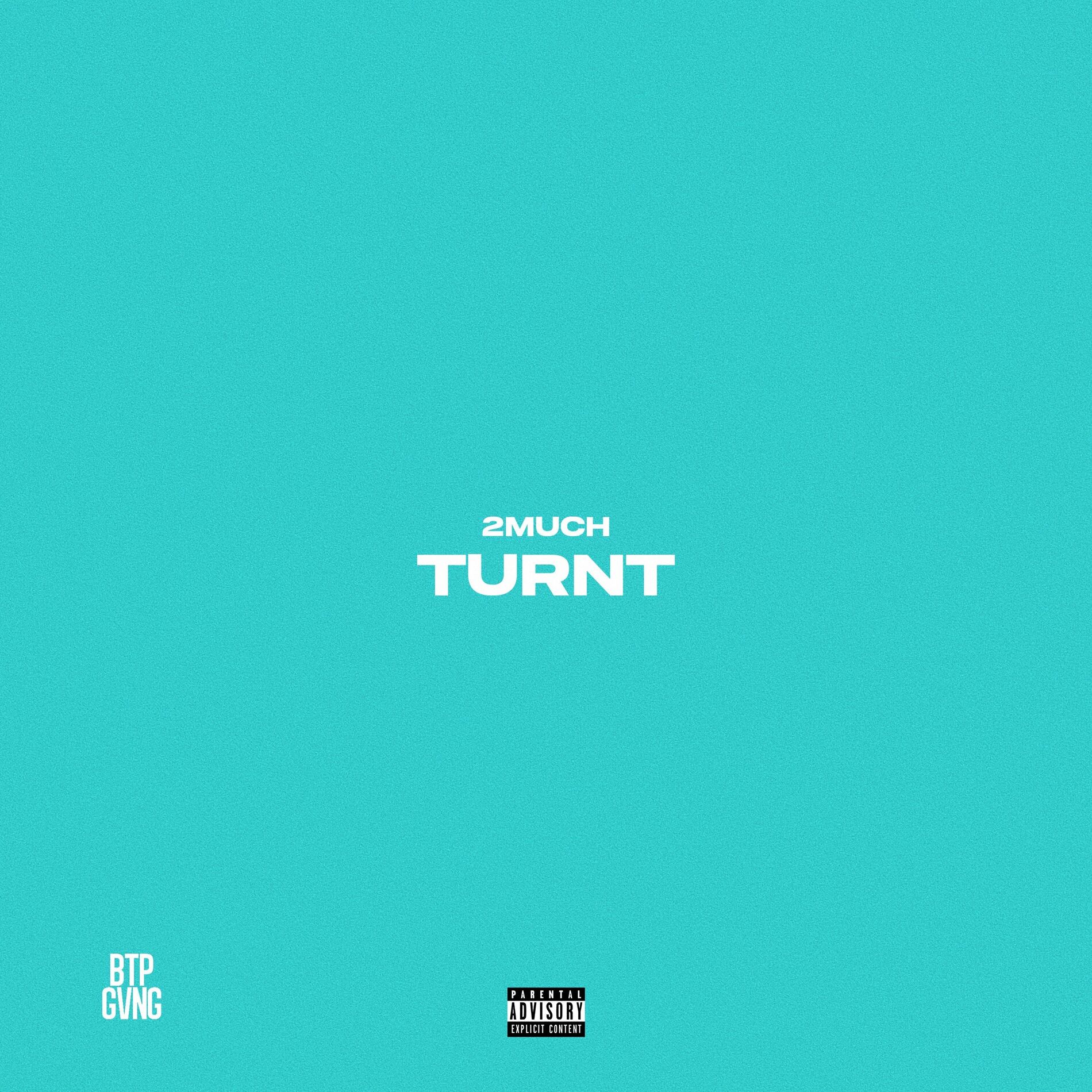 Album cover of TURNT