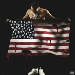 Cover of PTSD