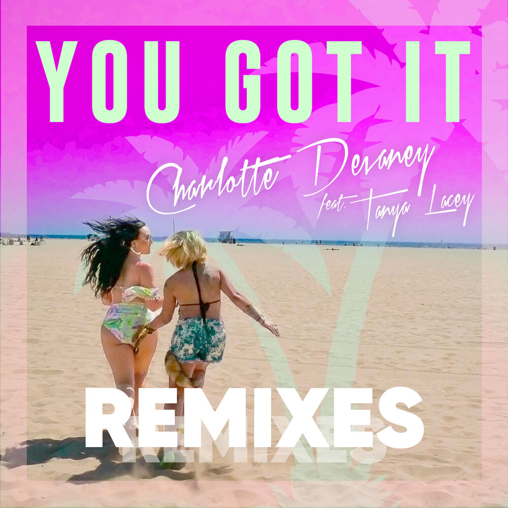 Picture of You Got It (Remixes)