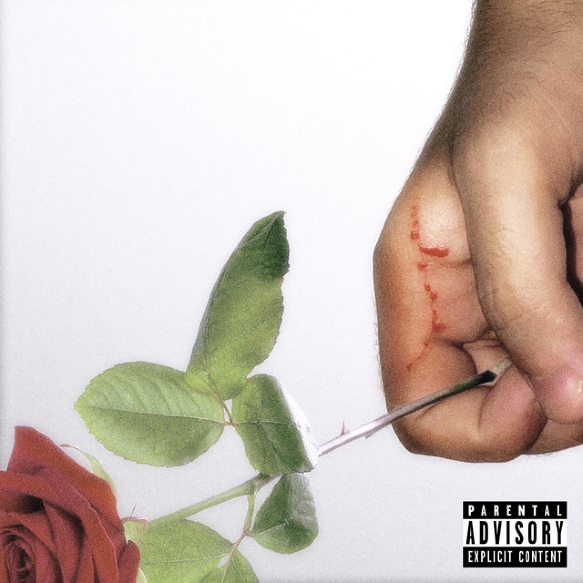Album cover of imperfect.