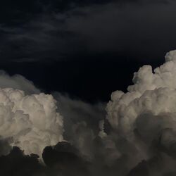Cover of APRENDÍ A VOLAR