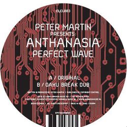 Cover of Perfect Wave