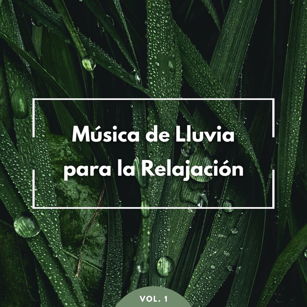 Picture of Música De Lluvia Para La Relajación Vol. 1