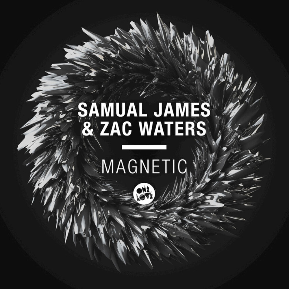 Picture of Magnetic