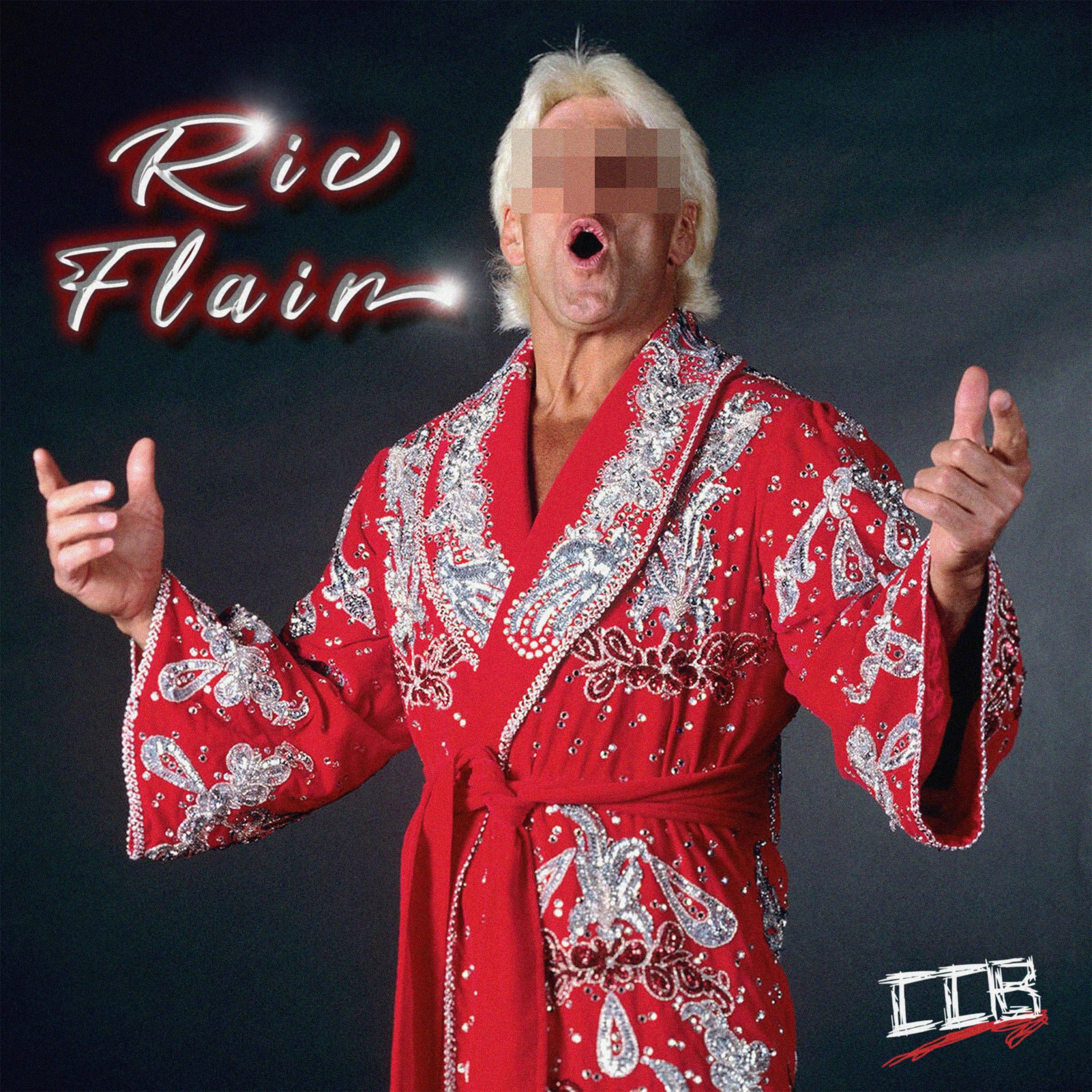 Album cover of Ric Flair (feat. Gauna & Berk44)