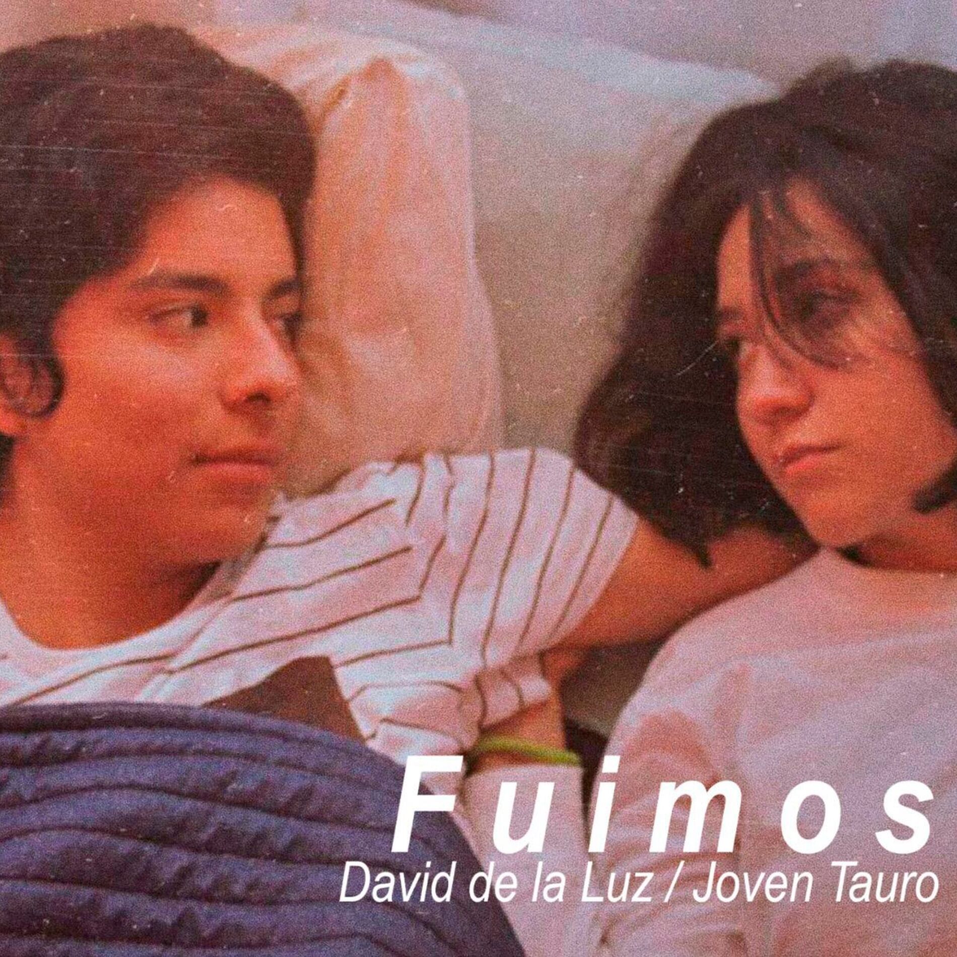 Album cover of Fuimos