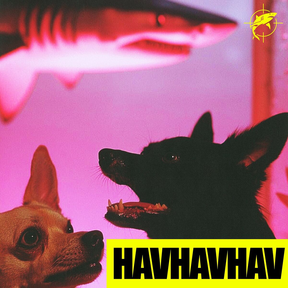 Album cover of HAVHAVHAV