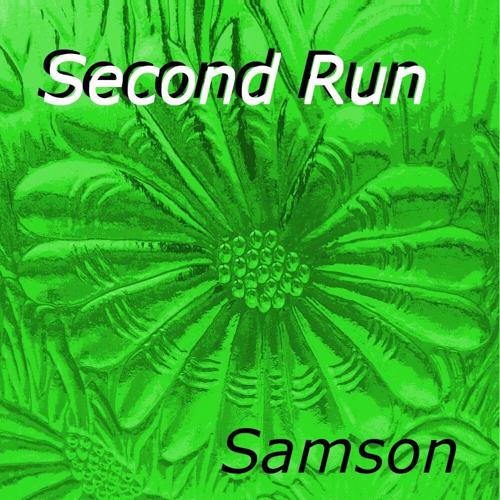 Picture of Second Run